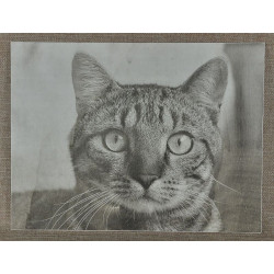 Jména na podstavci 50 cm