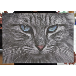 Fotoobraz 70x50