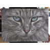 Fotoobraz 70x50